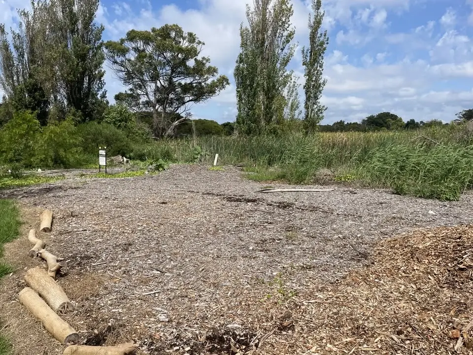 World Environment Day Planting Event, Rockdale Wetlands