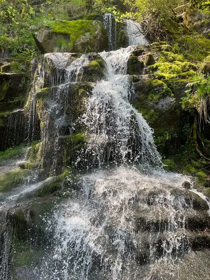 💚Разходка за необвързани #113💚 (Алекови водопади-Витоша) 50-65 г.