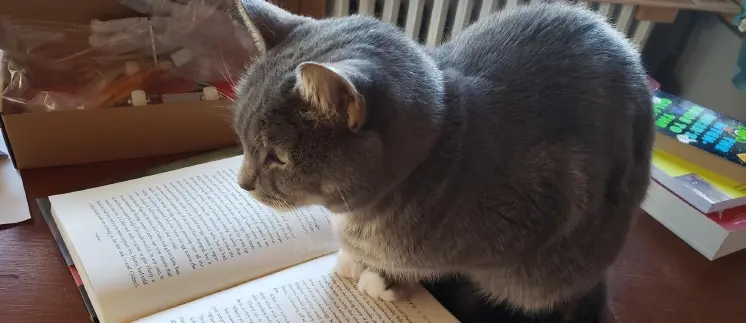 Bokklubb Heby bibliotek 12 – 15 år