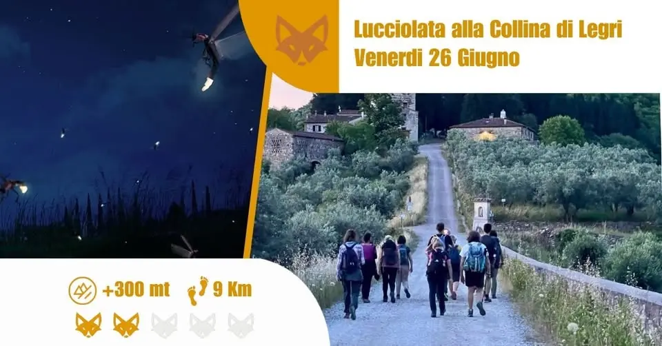 Lucciolata alla Collina di Legri