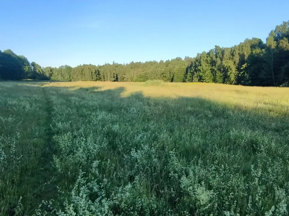 Överasknings-present