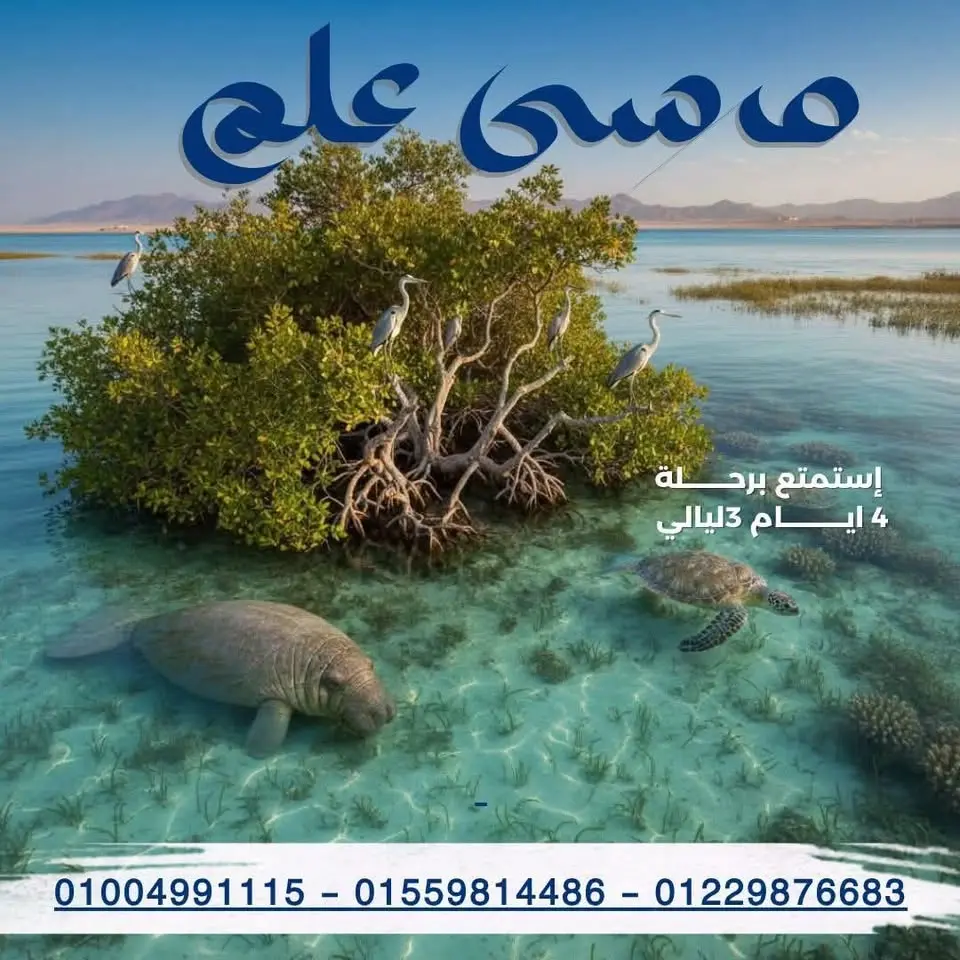 رحلة لمعالم مرسى علم في إجازة 30 يونيو مع #سراديب 🥰🇪🇬