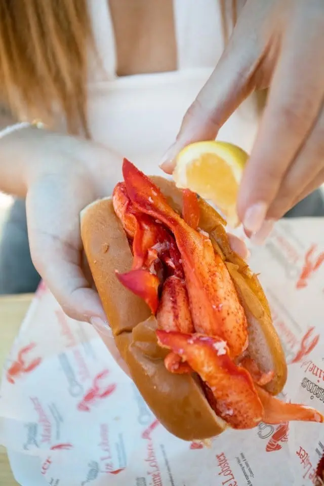 ๐ฆ๐ Cousins Maine Lobster at Studio City โ Ava Apartments One Time Pop-Up Only ๐โจ