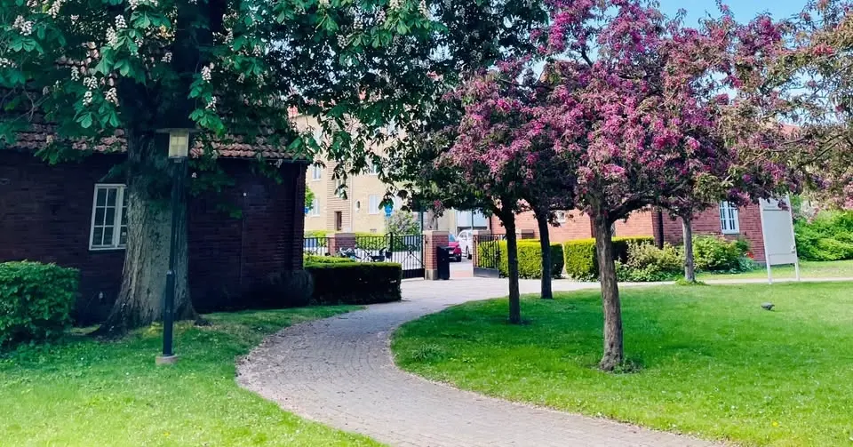 En kväll om stress & mindfulness