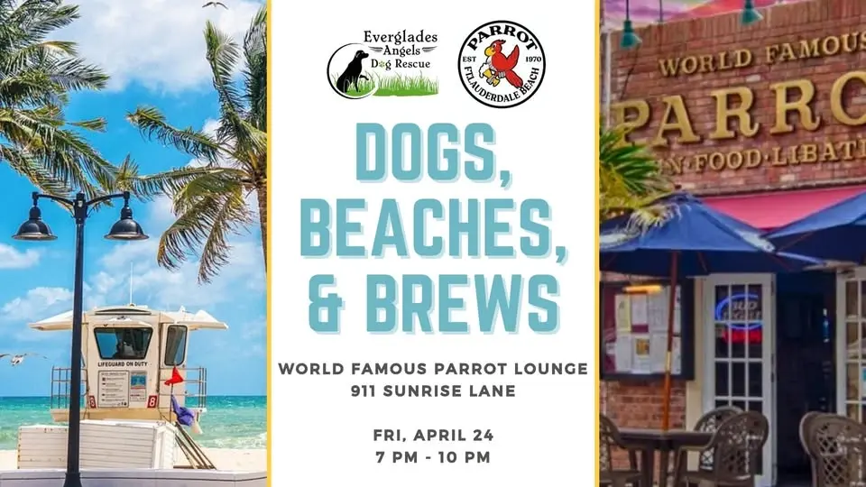 Dogs, Beaches & Brews