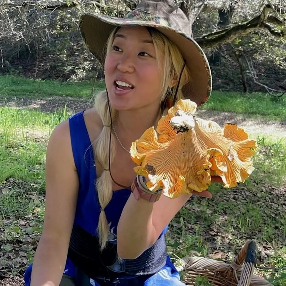 Foraging in the Bay Area: Herb and Mushroom Talk & Tea Tasting, Vol 2