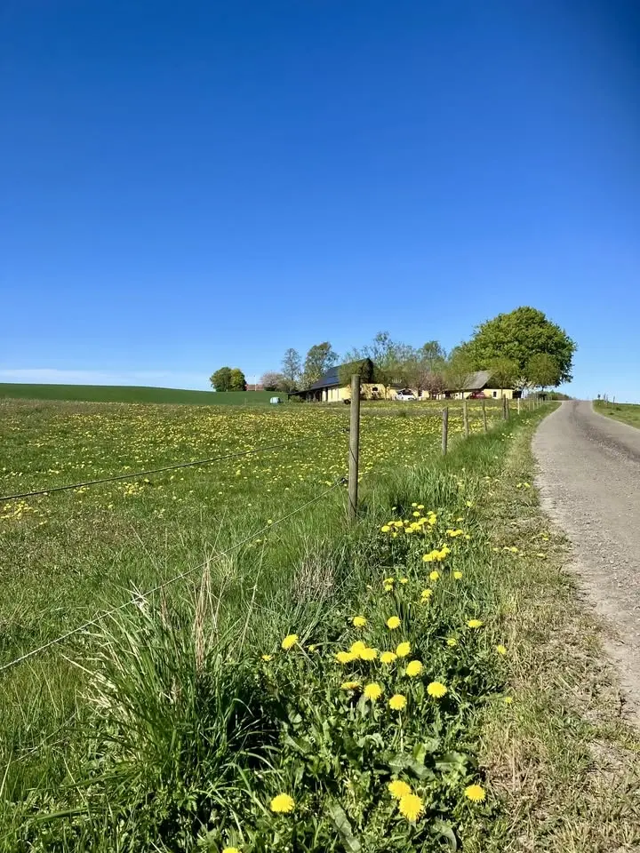 Sjung in sommaren i Holahög