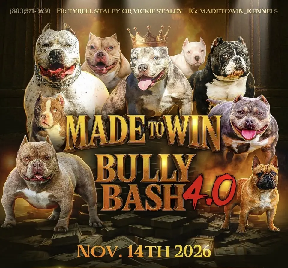 MADE TO WIN BULLY BASH 4.0 🏁