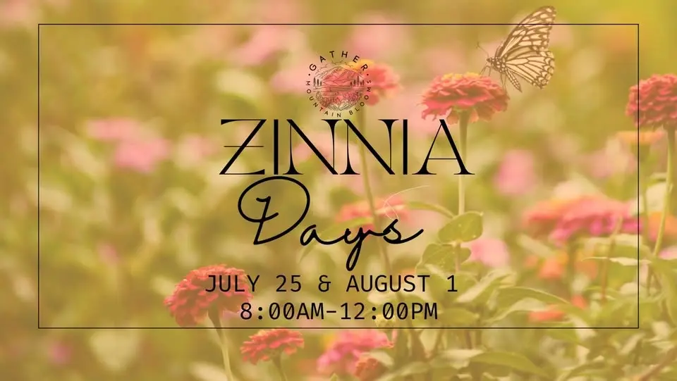Zinnia Days 