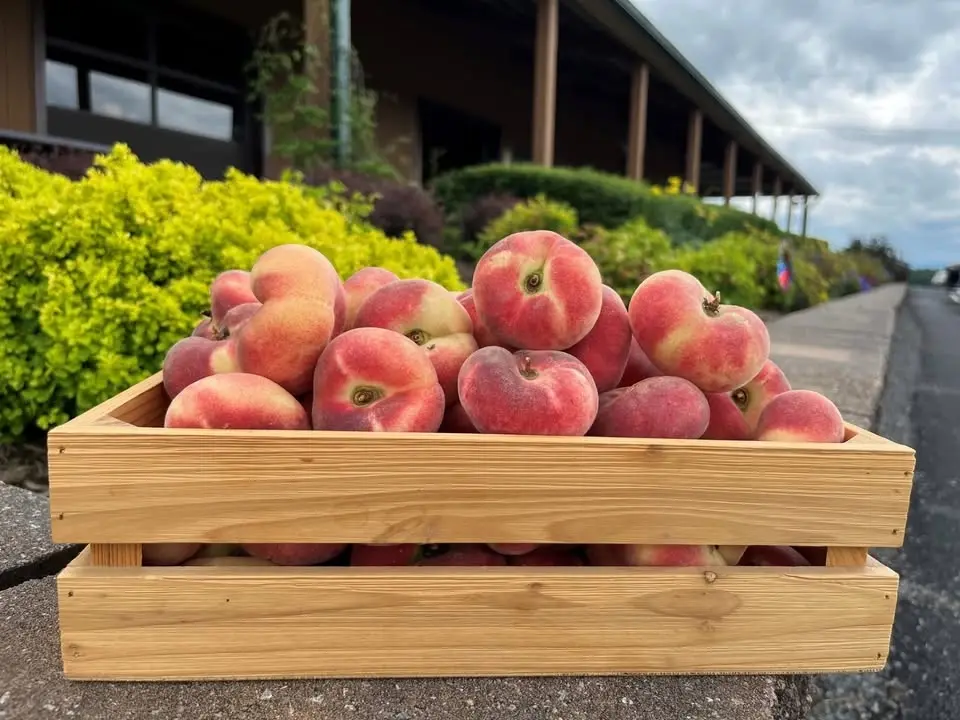 Peach Festival