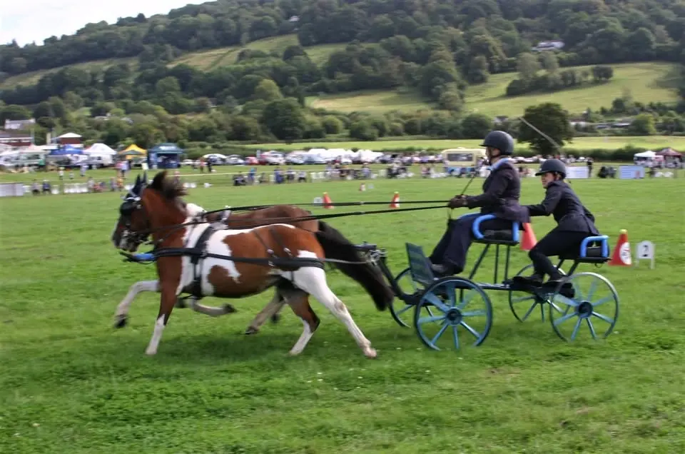 Monmouthshire Show 2026