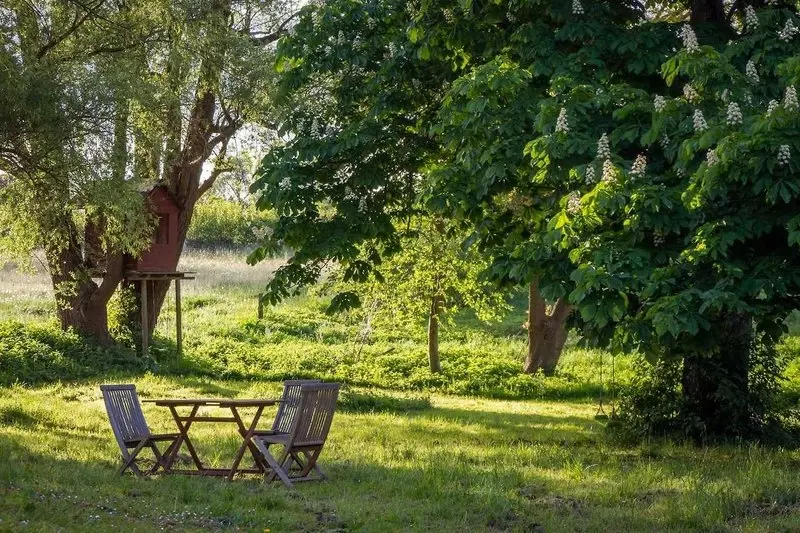 Workshop: StonyTellers – Kdo mluví v Zahradě?