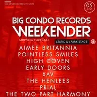 Big Condo Records Weekender Presents The Static & Spark Stage