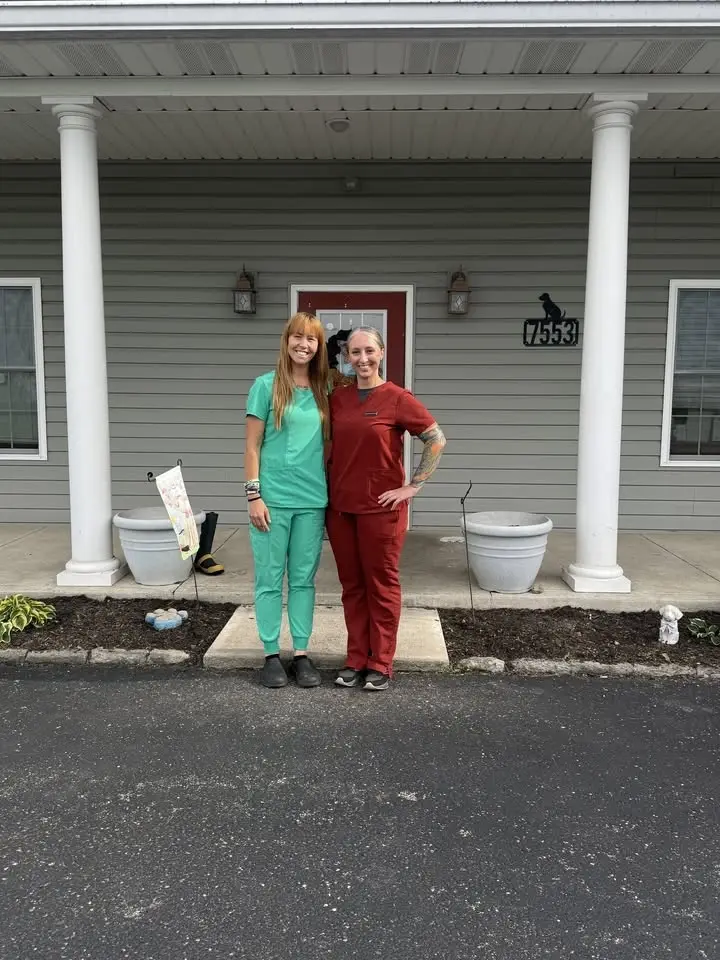 Kingston Veterinary Care Grand Re-Opening Celebration