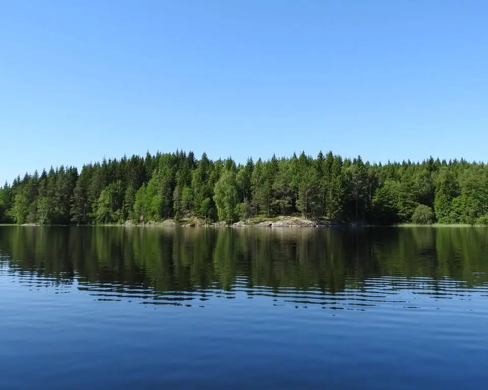 Tärnan – ett unikt skogsområde i södra Roslagen