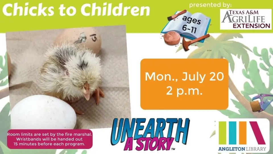Chicks to Children