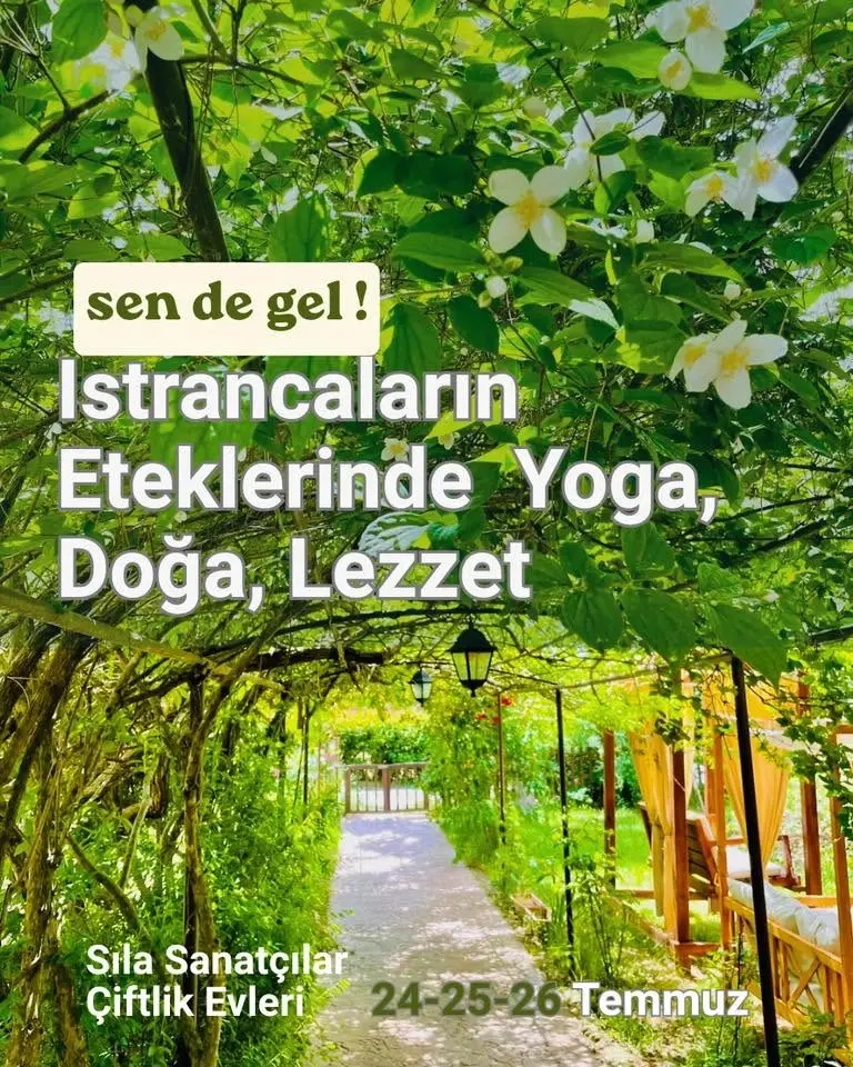 Doğada Yoga