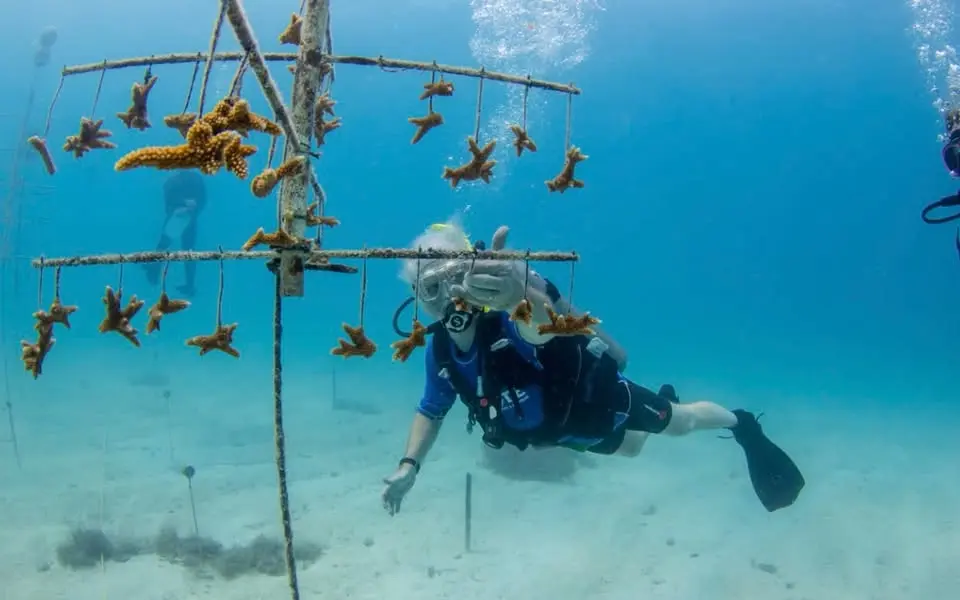 Key Largo Kyalami + SCUBAPRO + Mote Community Coral Reef Full Dive Restoration Program 
