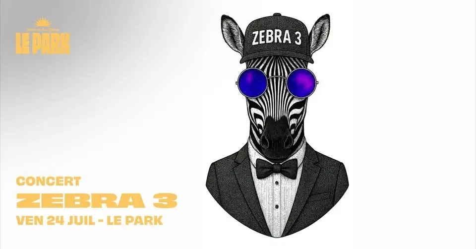 CONCERT ZEBRA 3 🎸