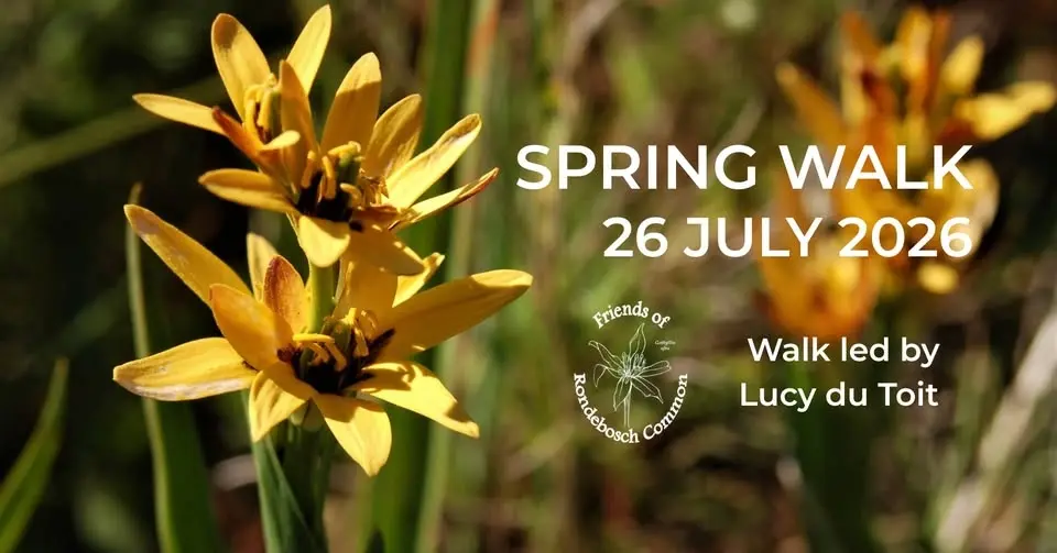Spring Walk 26 July - Rondebosch Common