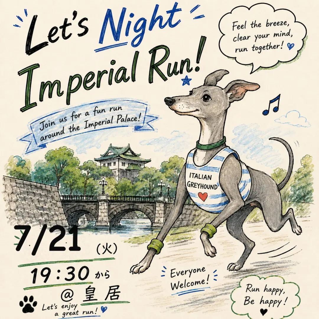 Night Run vol.5