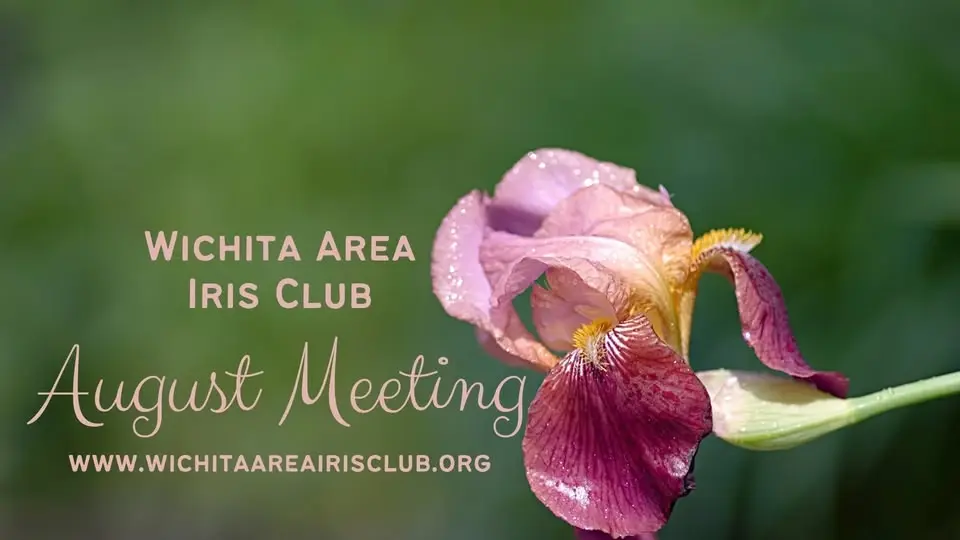 August Iris Club Meeting | Iris Show Report & Door prizes