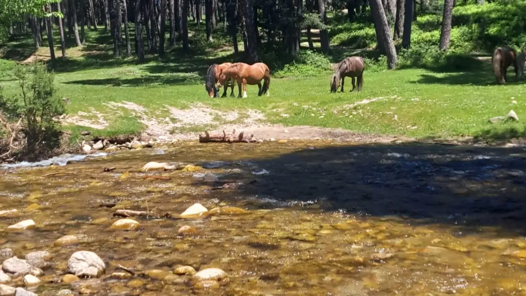 12/07 💦 🏞️RUTA SENDERISMO VALSAÍN 🥾BOCA DEL ASNO💦🏞️ POR EL RÍO ERESMA🎒 🏞
