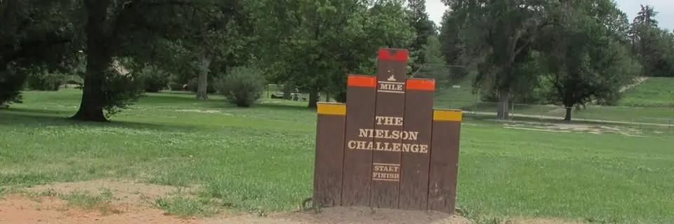 Nielson Challenge