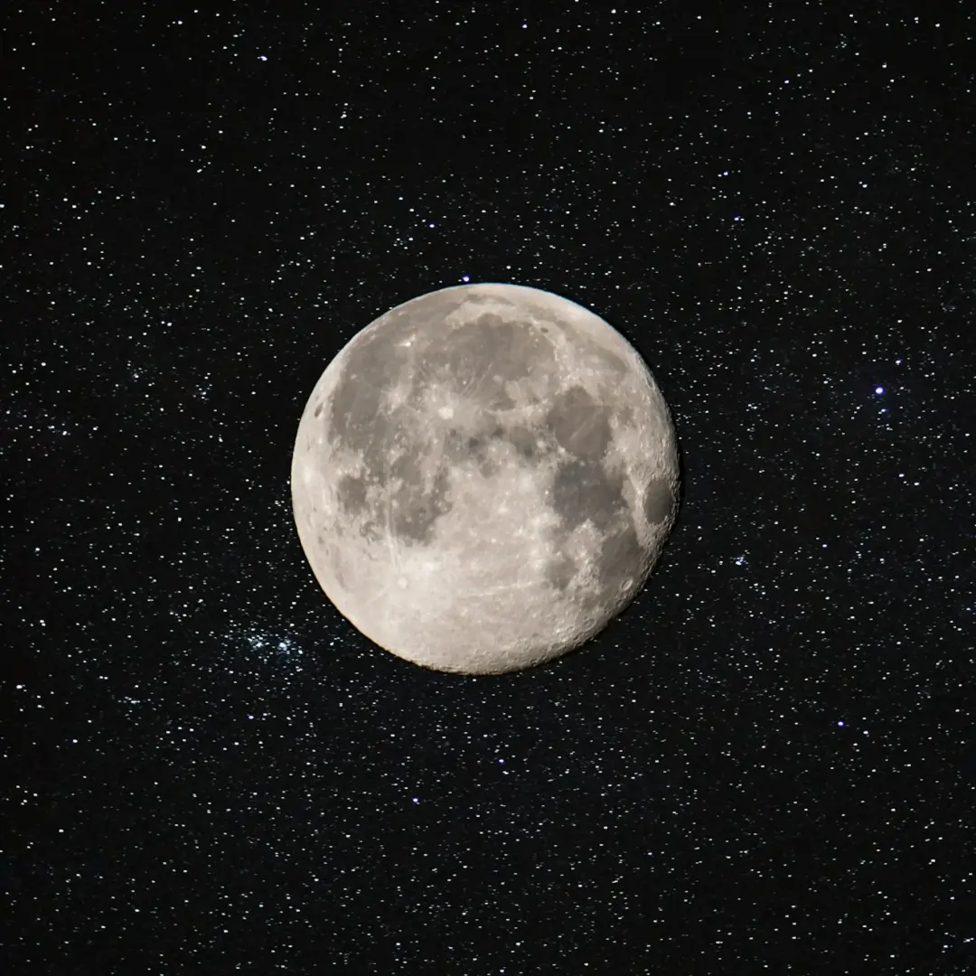 Buck Full Moon Walk