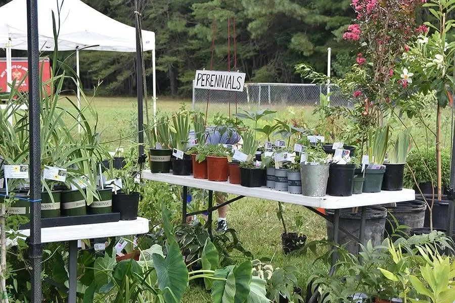 24th Annual Plant Extravaganza