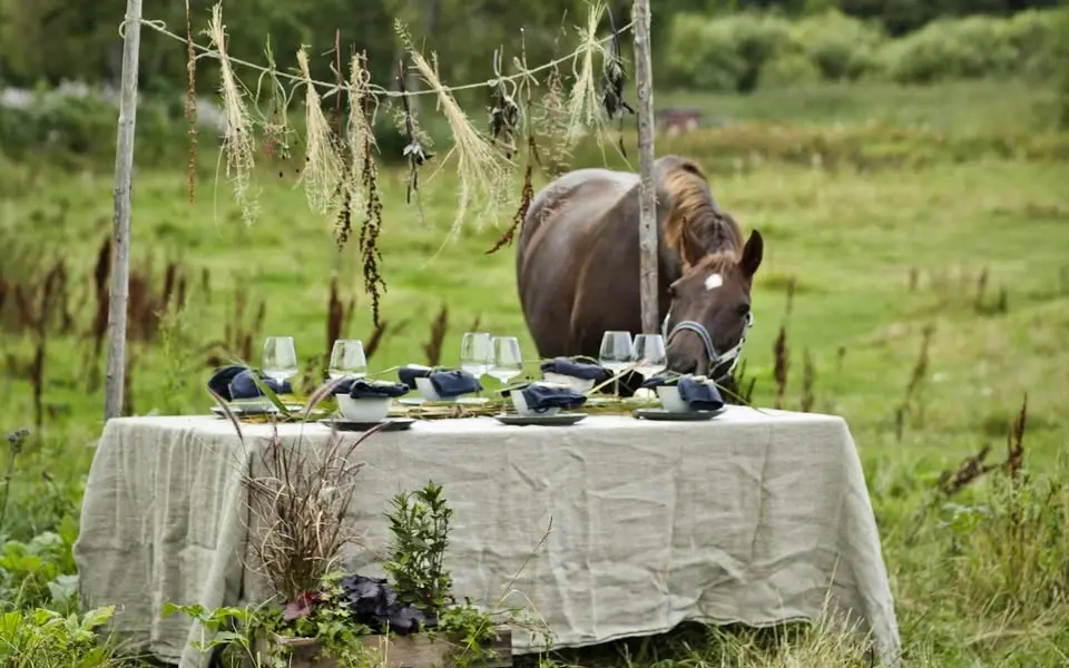Midsommar på Siggesta Gård