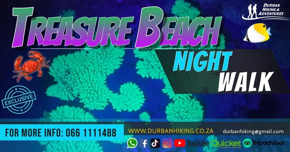 Treasure Beach Night Walk