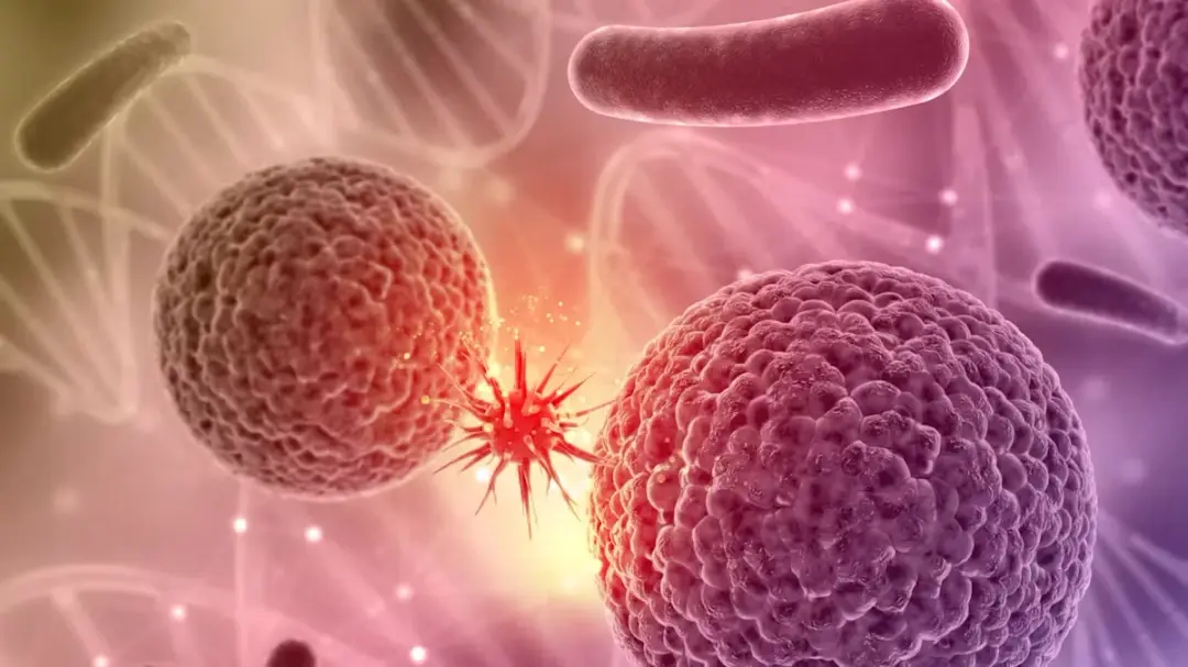 6th International Conference on Cancer and Oncology Research
