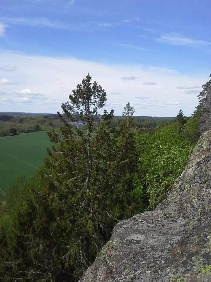 Naturens katedral