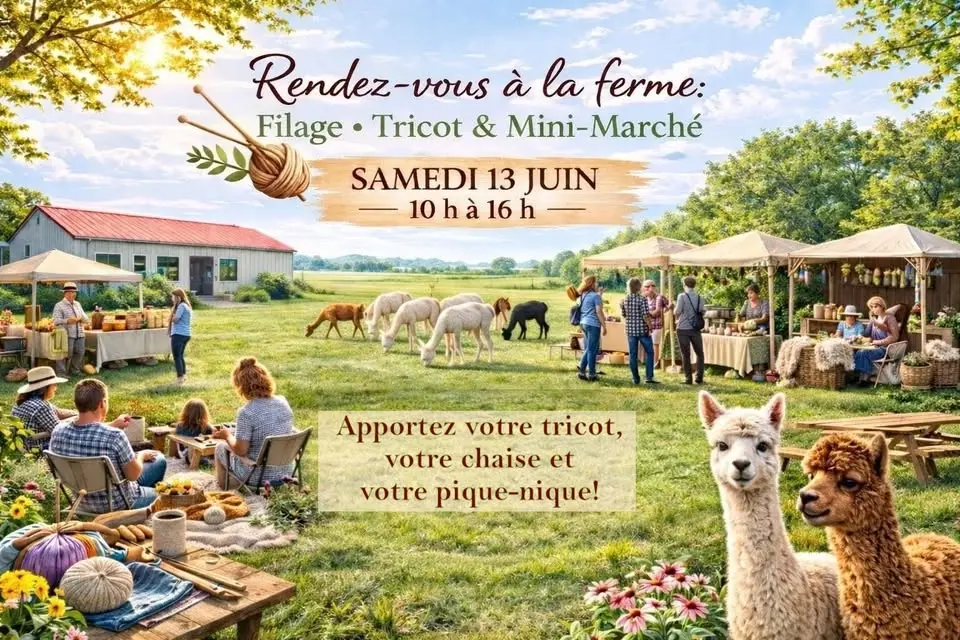 Journée mondiale du tricot - 2026