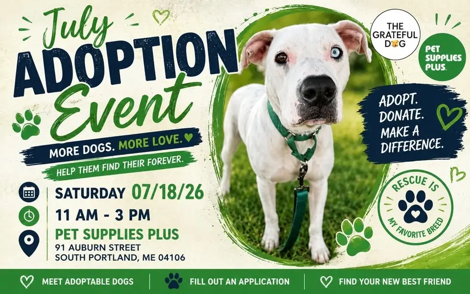 Rescue Is Our Favorite Breed | Adoption Day at Pet Supplies Plus, South Portland!