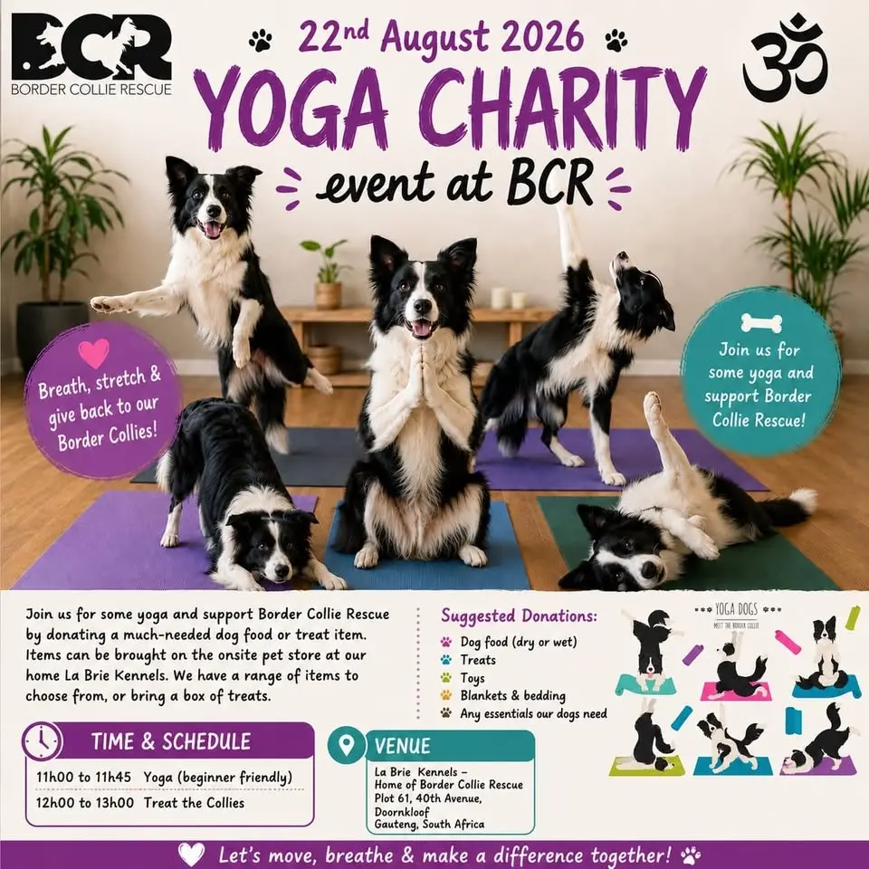 Yoga Charity Event at BCR 