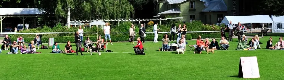 Ronnebyutställningen 2026