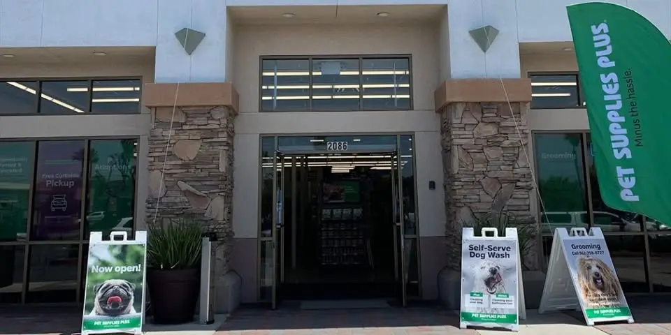 Long Beach - Dog dental cleaning