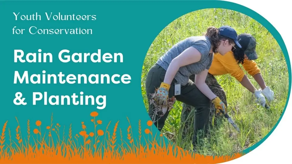 Youth Volunteers for Conservation (YV4C) Rain Garden Maintenance and Planting