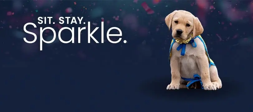 Sit. Stay. Sparkle. Seattle