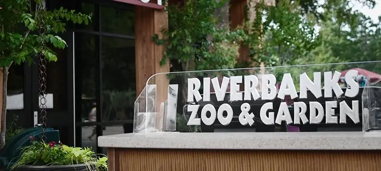 Riverbanks Zoo with the summer interns