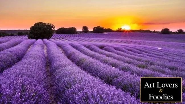 🪻Campos de Lavanda en Brihuega y una Puesta de Sol inolvidable
