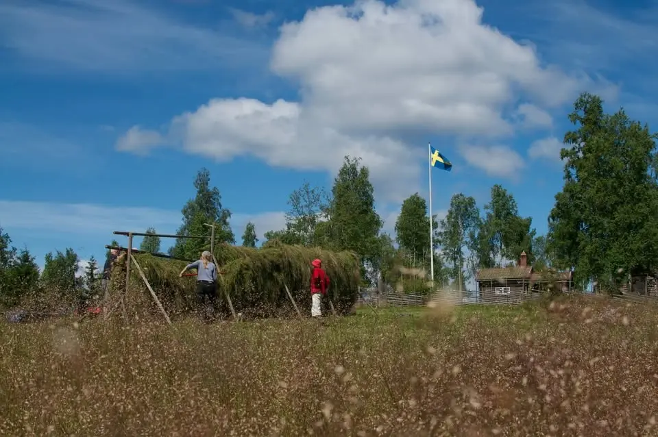 Fäboddag i Ljusbodarnas Fäbod