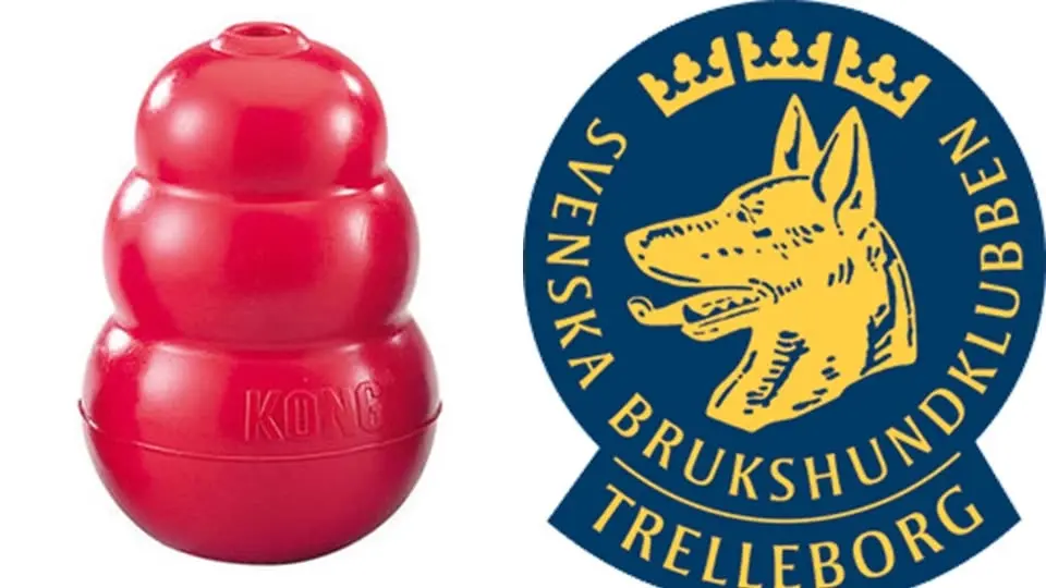 Specialsök Fortsättning