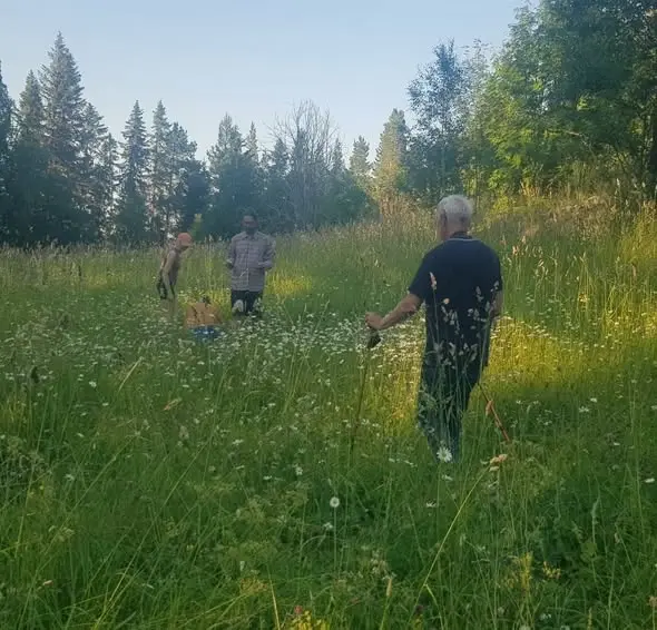 Inventering med Johan Staaf – ängen på Öneberget