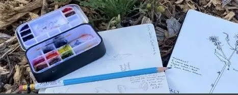 Explore Possibilities with Nature Journaling