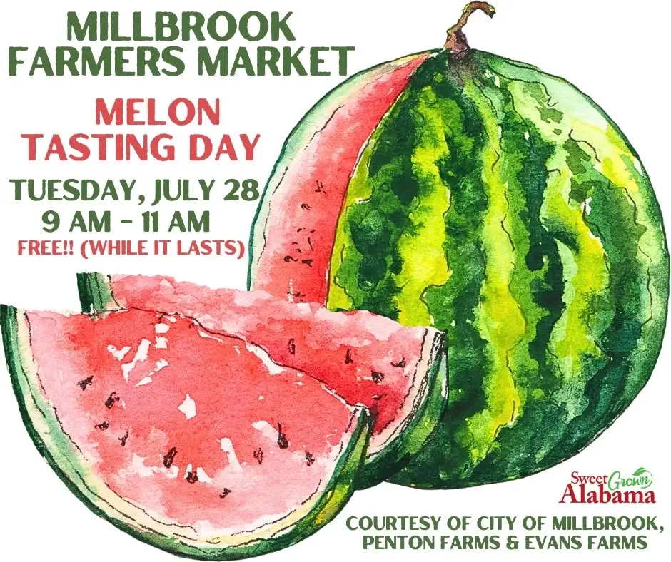 MILLBROOK FARMERS MARKET MELON TASTING DAY