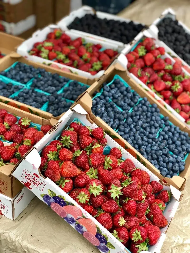 Berry Days!