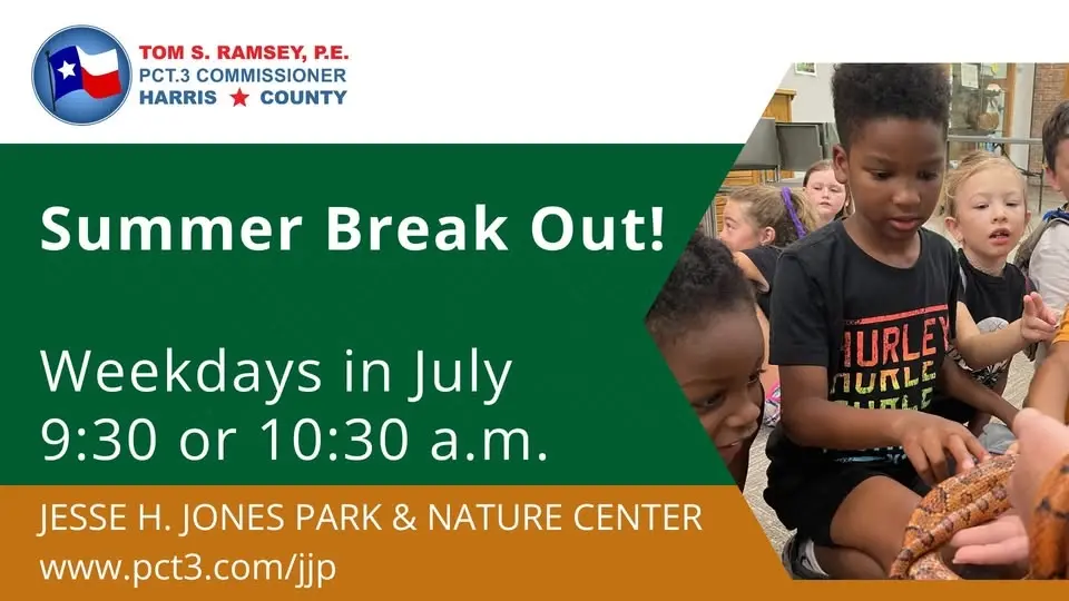 Summer Break Out